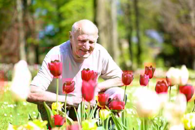 Garden-Flowers-at-Community-Terra-Vista-Website-Photo